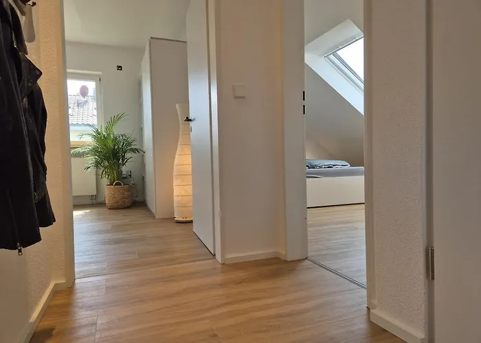 Seezeit In Radolfzell *